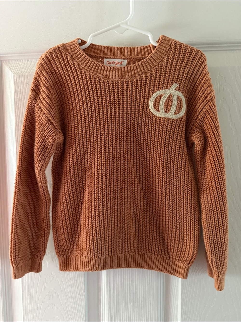 Cat & Jack Orange Crewneck Sweater with Cream Pumpkin Patch